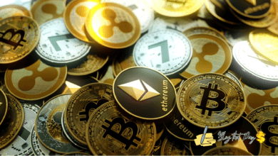 New Cryptocurrency Release 2024
