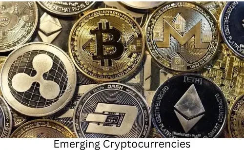 Crypto to watch