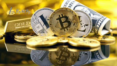 Cryptocurrency Exchanges