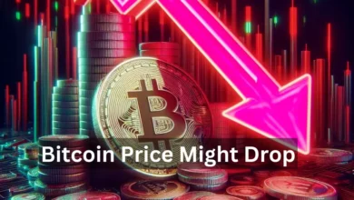 Bitcoin Price Might Drop