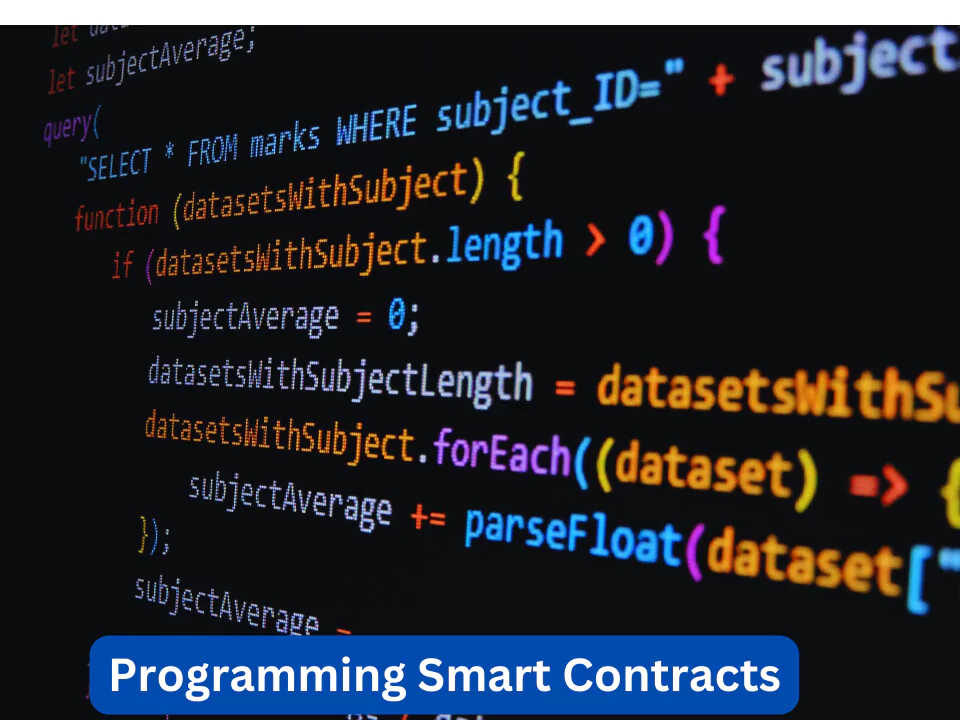 Programming Smart Contracts